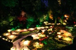 Butchart Gardens at Night